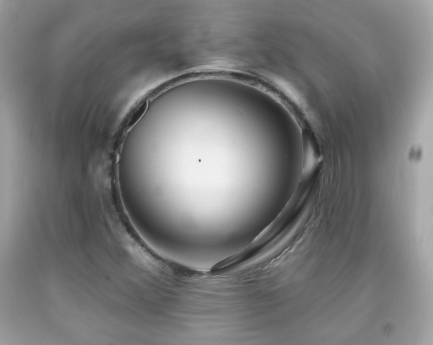 X0000092081356200709121436