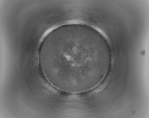 X0000092081358200709121436