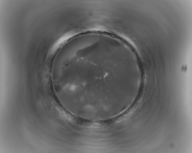 X0000092081359200709121436
