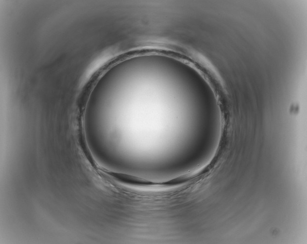X0000092081360200709121436