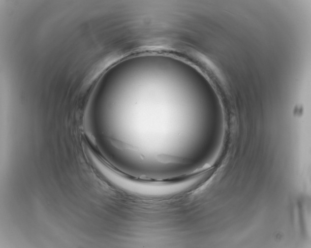 X0000092081361200709121436
