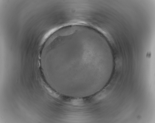 X0000092081363200709121436
