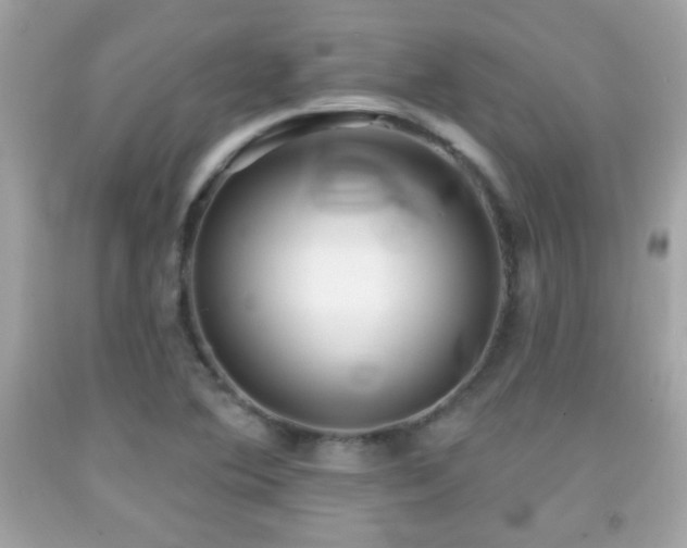 X0000092081364200709121436