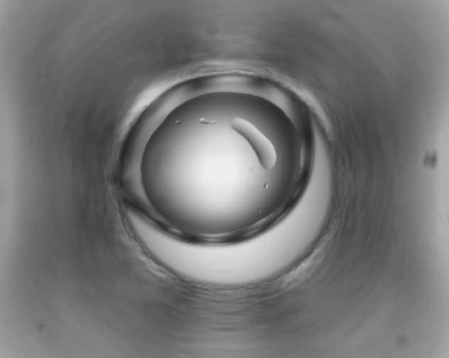 X0000092081365200709121436