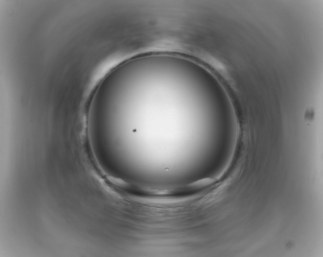 X0000092081366200709121436
