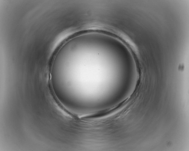 X0000092081368200709121436