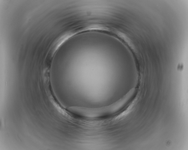 X0000092081369200709121436