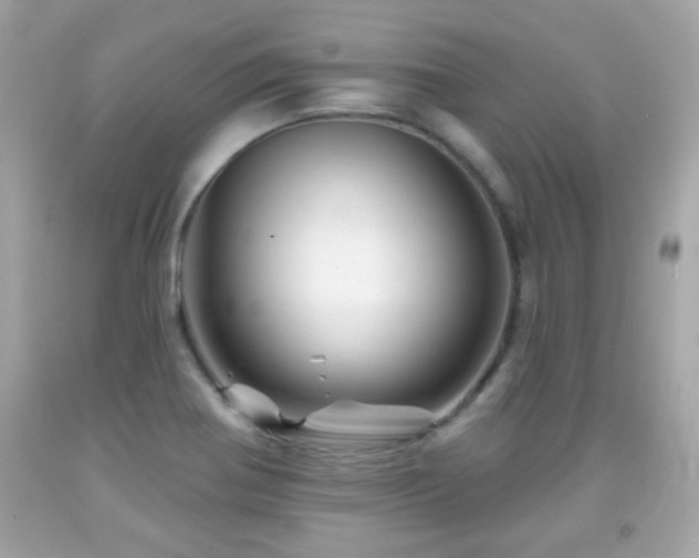 X0000092081370200709121436