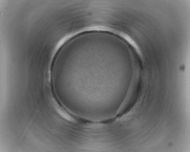 X0000092081372200709121436