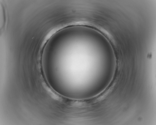 X0000092081374200709121436