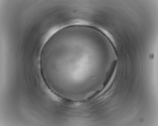 X0000092081375200709121436