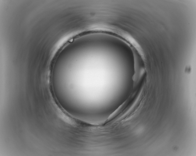 X0000092081376200709121435