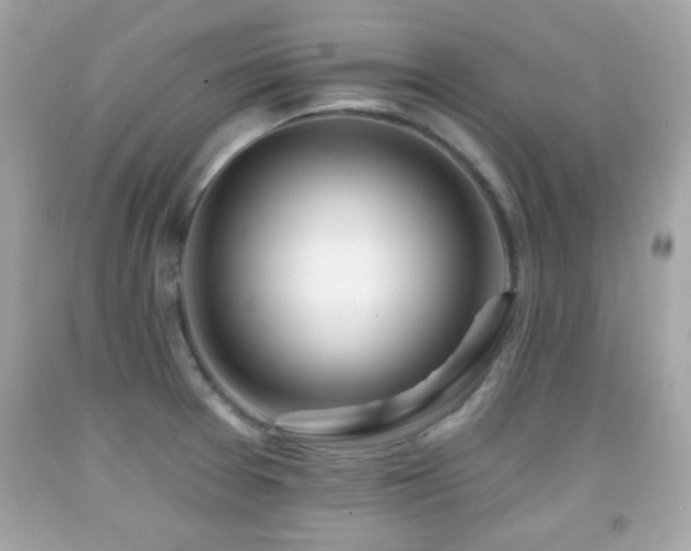 X0000092081377200709121435