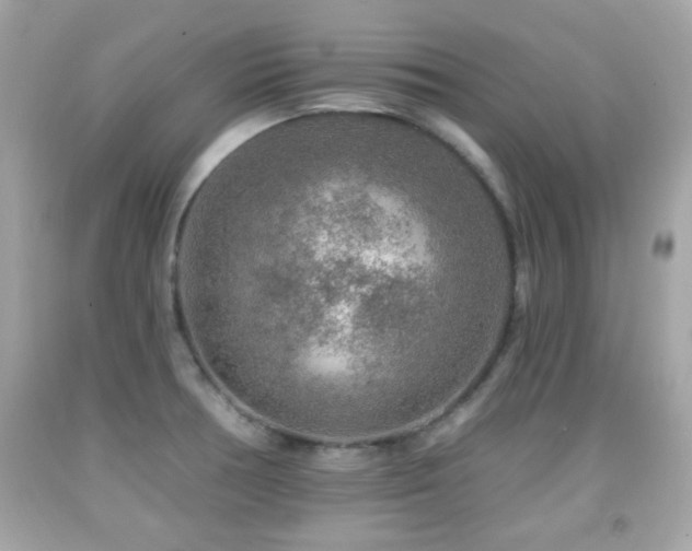 X0000092081378200709121435