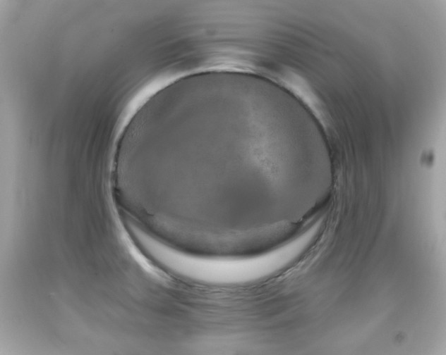 X0000092081379200709121435