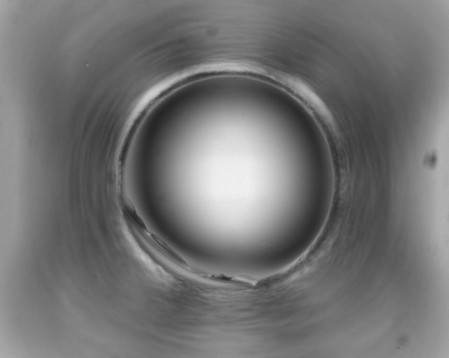 X0000092081380200709121435
