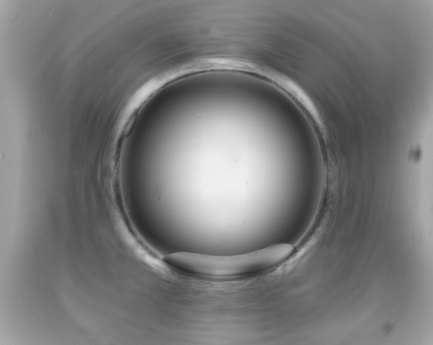 X0000092081381200709121435