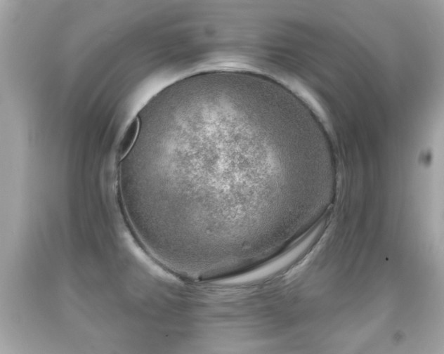 X0000092081382200709121435