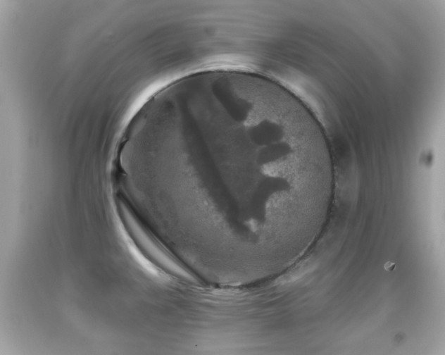 X0000092081383200709121435