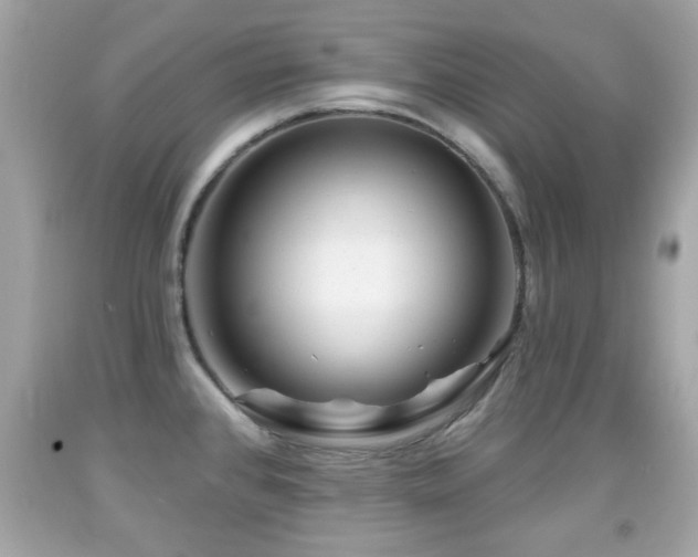 X0000092081384200709121435
