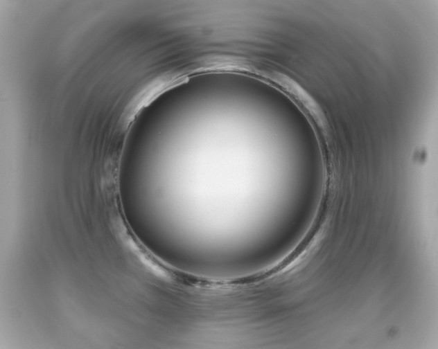 X0000092081385200709121435