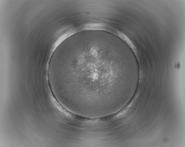 X0000092081386200709121435
