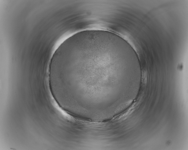X0000092081387200709121435