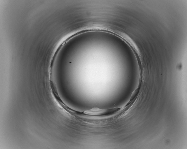 X0000092081388200709121435