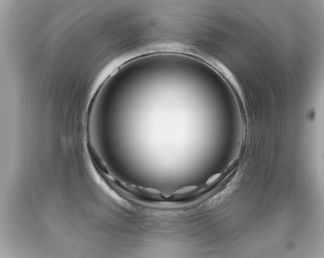 X0000092081389200709121435