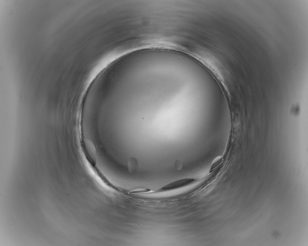 X0000092081391200709121435