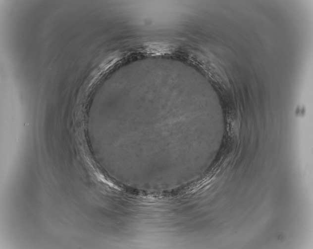 X0000092081393200709121435