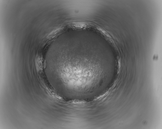 X0000092081394200709121435