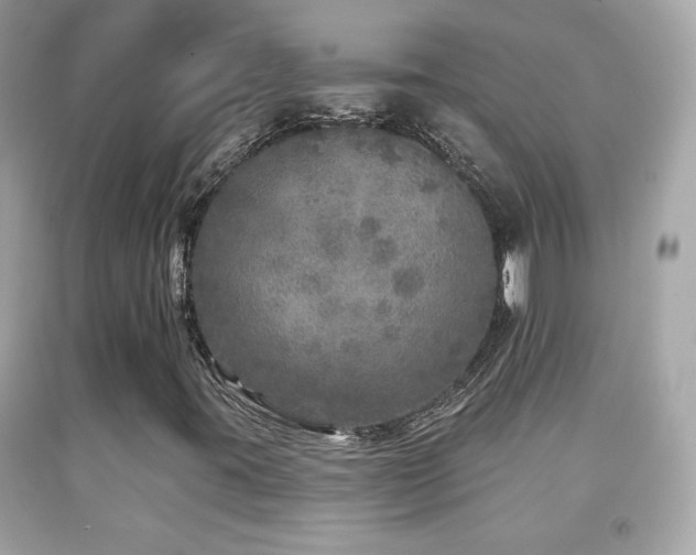 X0000092081395200709121435
