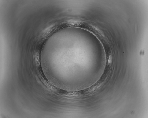 X0000092081396200709121435