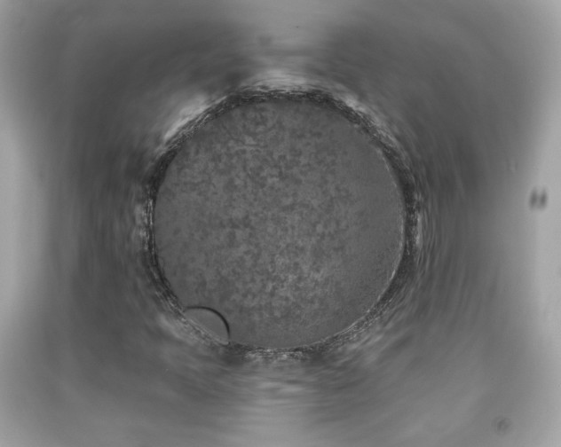 X0000092081397200709121435