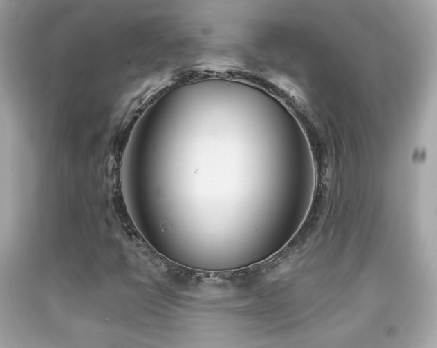 X0000092081398200709121435