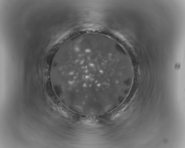 X0000092081399200709121435