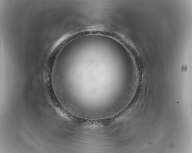 X0000092081400200709121435