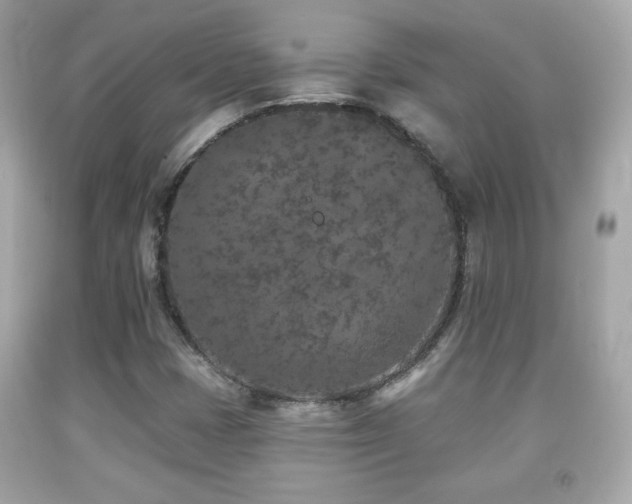 X0000092081401200709121435