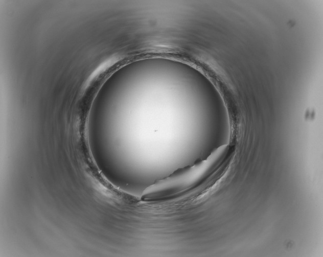 X0000092081402200709121435