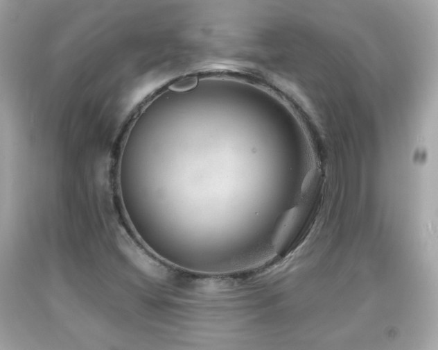 X0000092081404200709121435