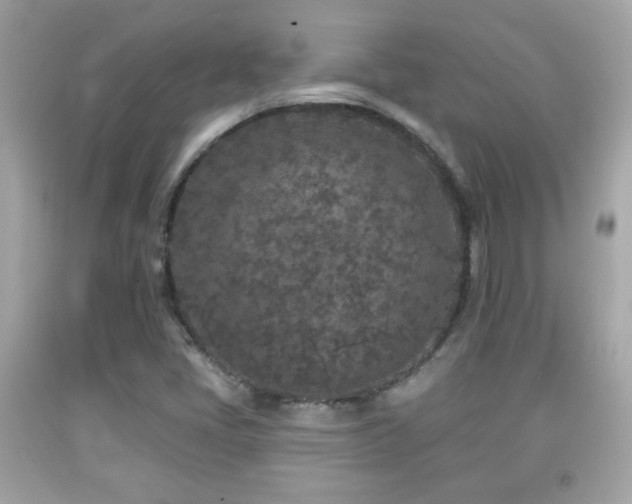 X0000092081405200709121435