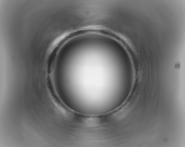 X0000092081406200709121435