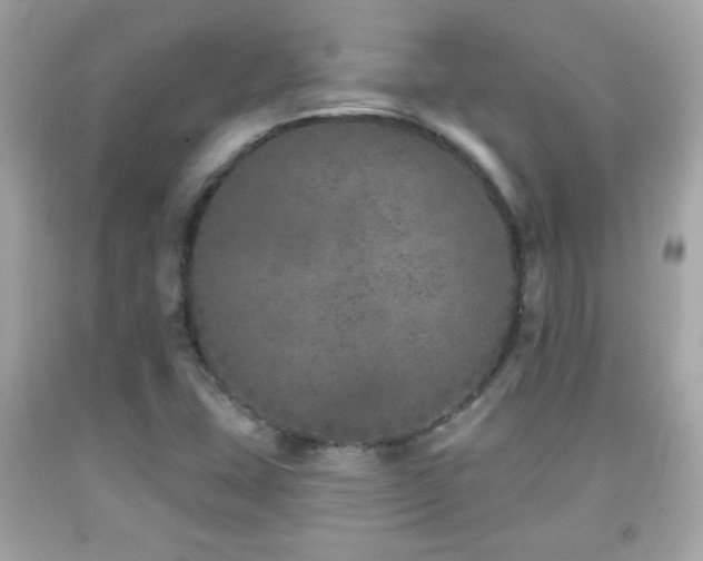 X0000092081407200709121435