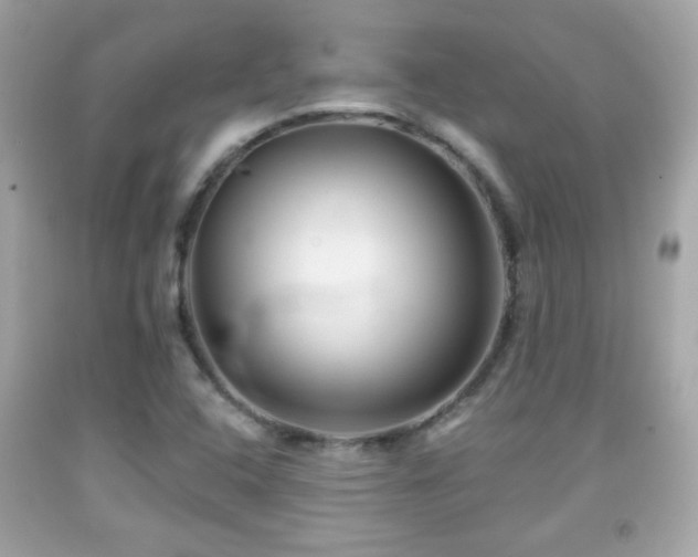 X0000092081408200709121435