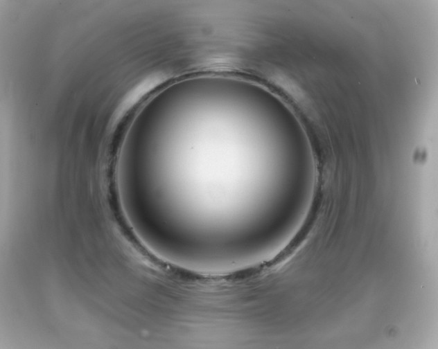X0000092081410200709121435
