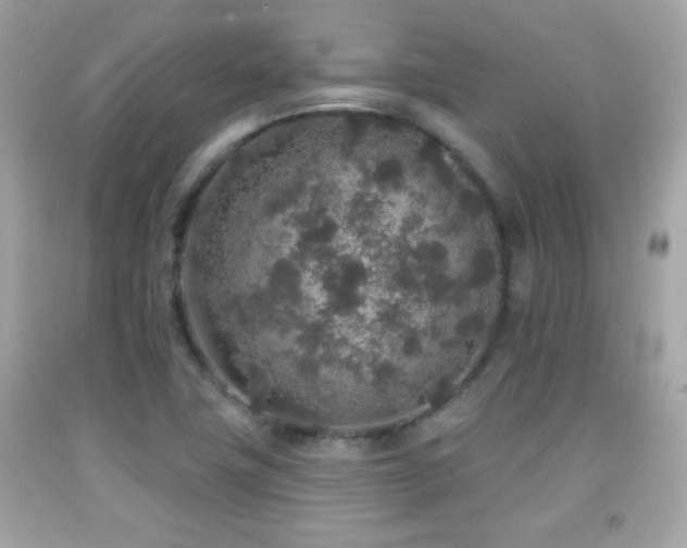 X0000092081411200709121435