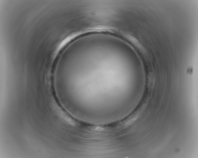 X0000092081412200709121435