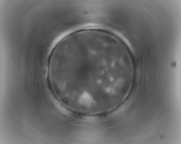 X0000092081413200709121435