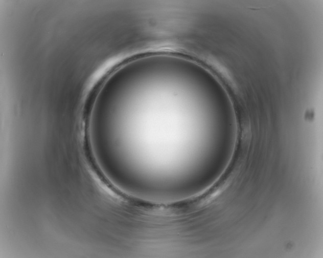 X0000092081414200709121435